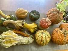 30 Semi Di Zucche Ornamentali ,Squash ,Hallowen Decorazione Mix Varietà Rare
