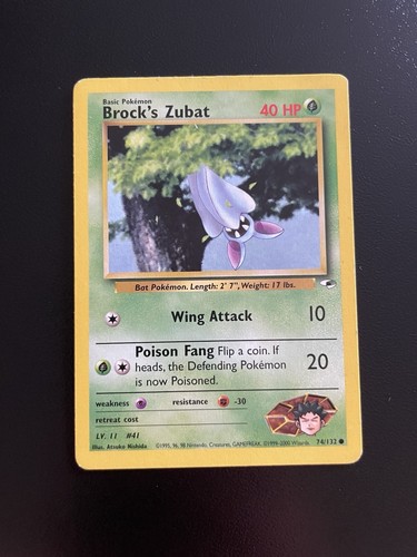 Pokemon brock zubat - pokemon, brock's