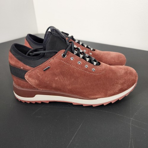 Geox amphibiox borgogna - geox,