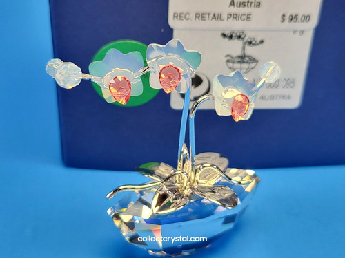 Swarovski memorie orchidea - swarovski,