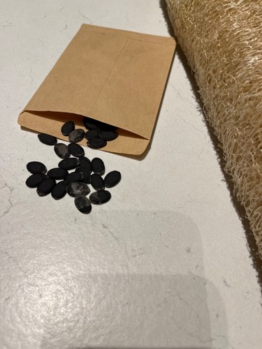 Semi luffa spugna - semi,