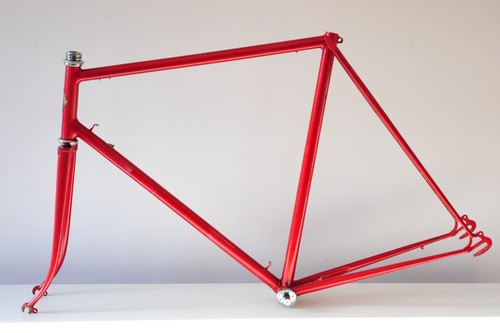 Telaio cycles precision - precision, h