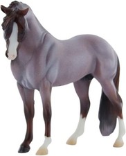 Cavalli Breyer taglia