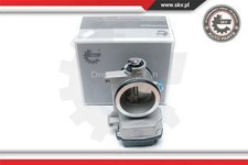 Corpo farfallato elettrico