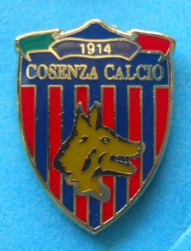 Distintivo spilla pin badge - distintivo,