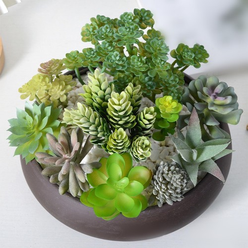 Per mini bonsai stile - mini,