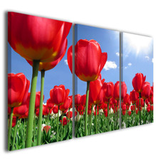 Canvas Paintings Tulips
