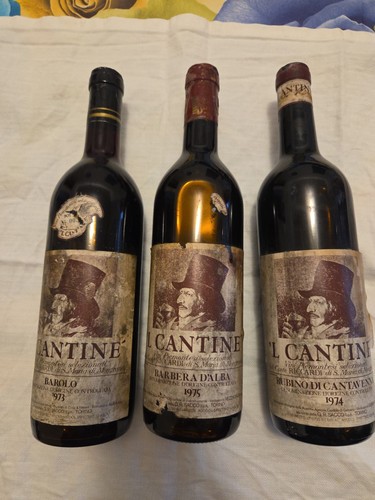 Vino 1975 - vino,