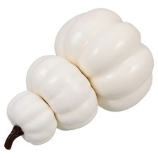  Zucchette Decorative