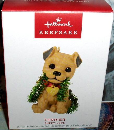 Terrier puppy love - love, 2023'