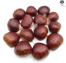 Castagne Dolci Greche