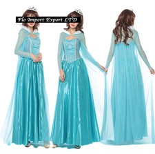 Frozen Vestito Costume