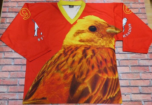 Maglia shirt trikot ice - trikot,