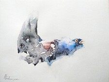 Capercadilla, uccellini, opera