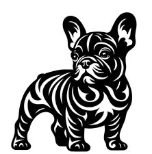 adesivo sticker vetri auto