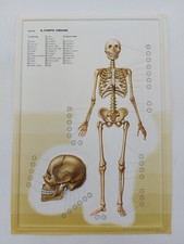 Nova Rico Florence Tavola 3D