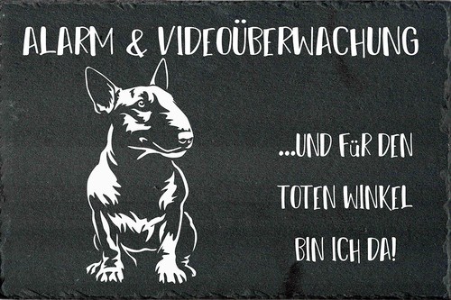 Bull terrier cartello - bull, di