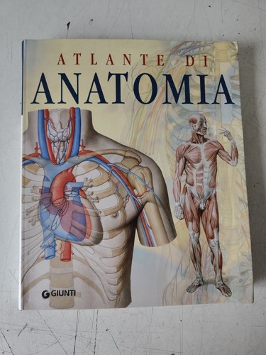 Atlante anatomia a - atlante,
