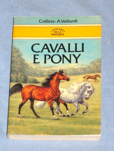 Cavalli pony silver - -, c.