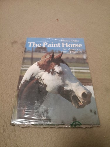 The paint horse hardy oelke - horse,