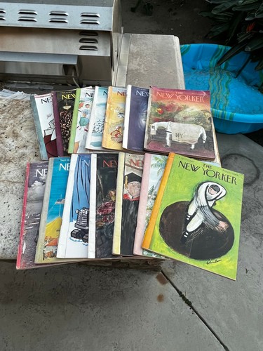 The new yorker - the, magazines