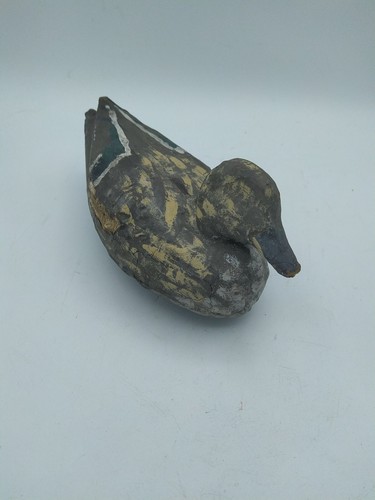 Anatra papera galleggiante - anatra,