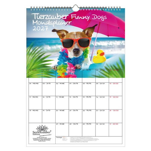 Magia animale funny dogs - magia,