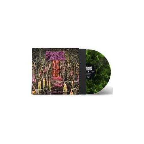 Carnal tomb embalmed decay - in,