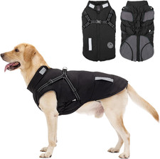 Cappotto Cane Invernale