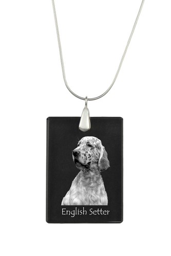 Setter inglese pendente - setter, in
