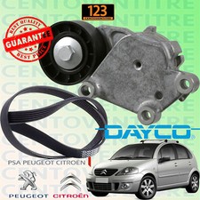 CINGHIA SERVIZI POLY-V +