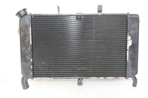 Radiatore yamaha xj6 abs 600 - abs,