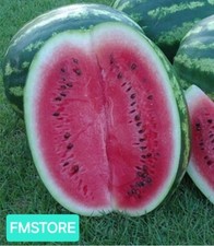 50 SEMI DI ANGURIA CRIMSON