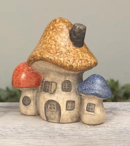 Casette per funghi - , in