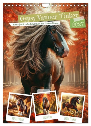 Gypsy vanner tinker die - vanner,