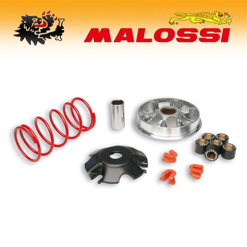 5116287 malossi variatore - 5116287,