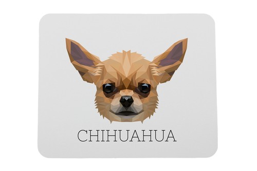 Chihuahua pelo corto - pelo,