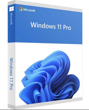 Microsoft Windows 11