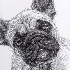 Penna a sfera Bulldog francese