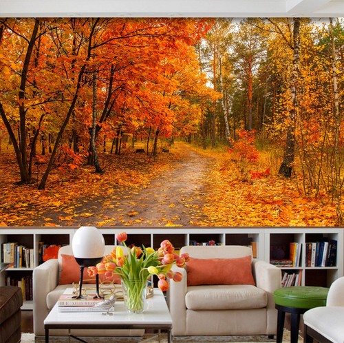 Autumn forest zhub1915 - autumn,