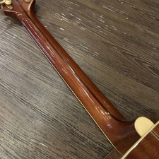 Chitarra acustica Greg Bennett Asdm con custodia rigida consegna sicura dal Giappone