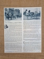 Carri bardature e donne