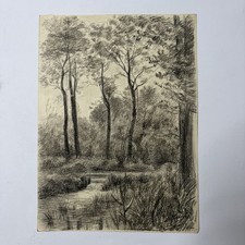 Disegno Paesaggio alberi a