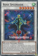 Yu-Gi-Oh! Rose Splendide : C LDS2-FR111