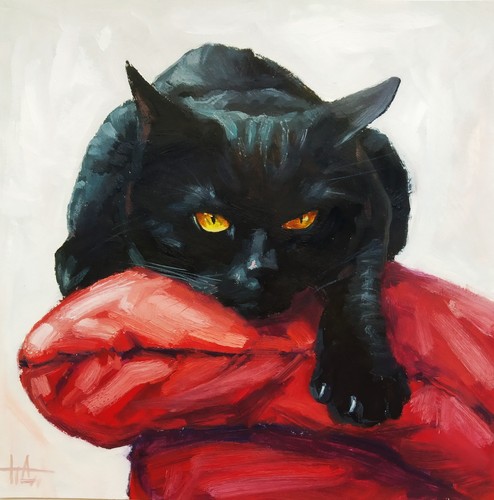 Dipinto olio originale gatto