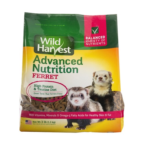 Furetto nutrizione avanzata - furetto,