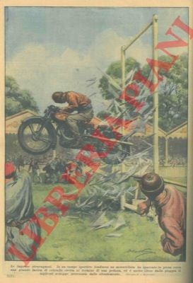 3924 dom motociclista spacca - -,