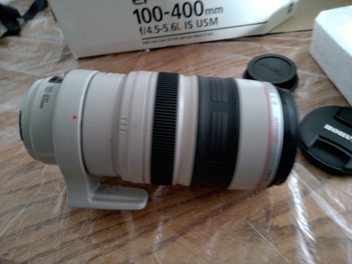 Canon 100 400 5 - 100-400, f/4.5-5.6l
