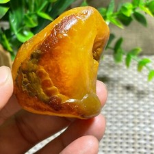 Bonsai di Suiseki Pietra