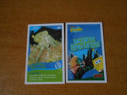 Figurina card spongebob - spongebob, crai